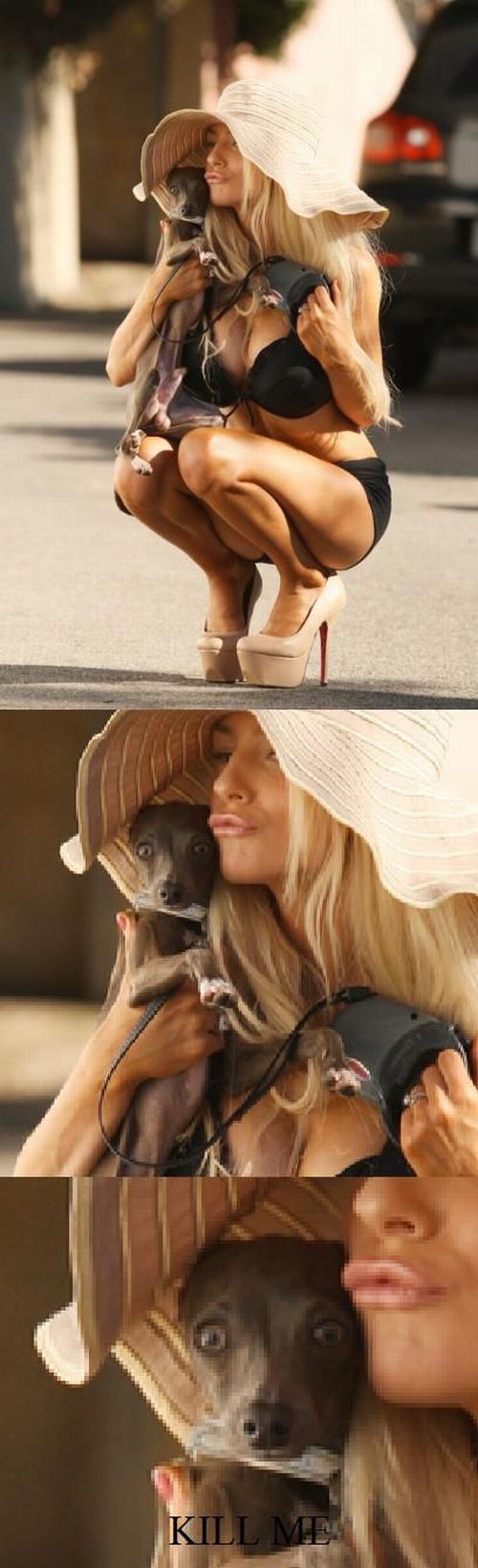Daily Picdump