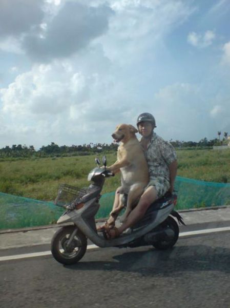 Morning Picdump