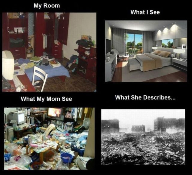 Morning Picdump