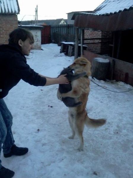 Morning Picdump