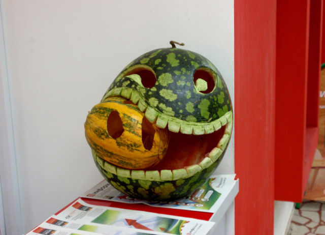 Morning Picdump
