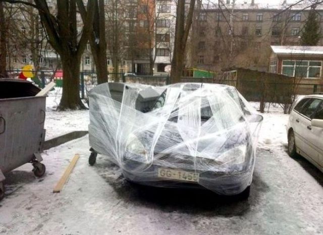 Morning Picdump