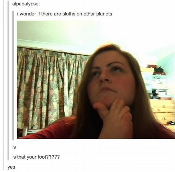 Daily Picdump
