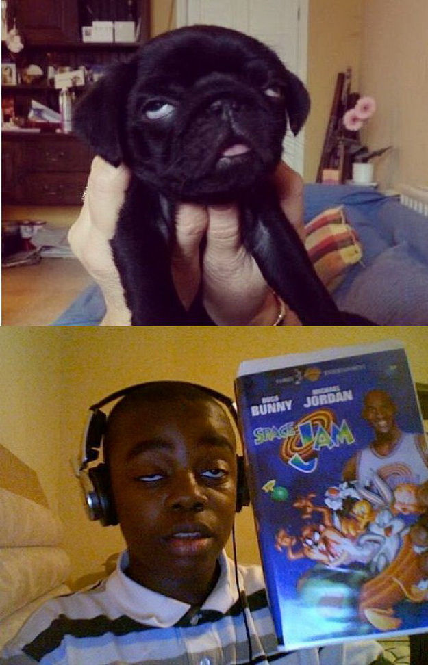 Morning Picdump