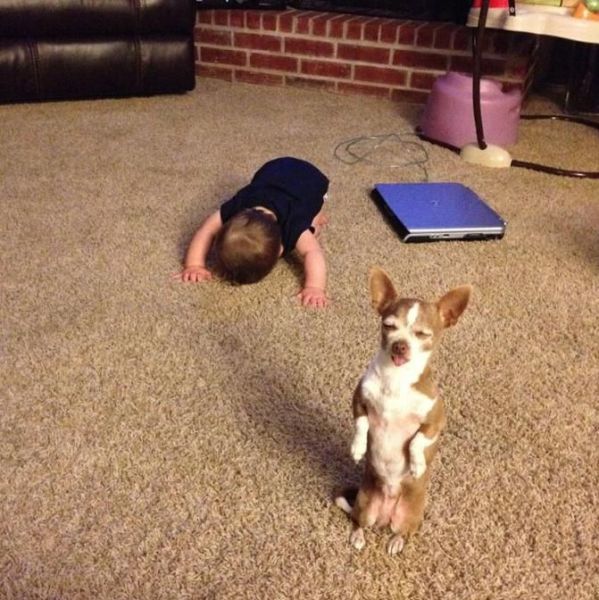 Morning Picdump