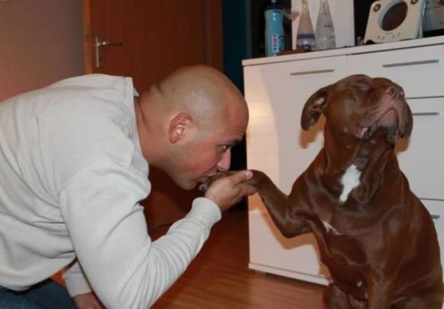 Morning Picdump