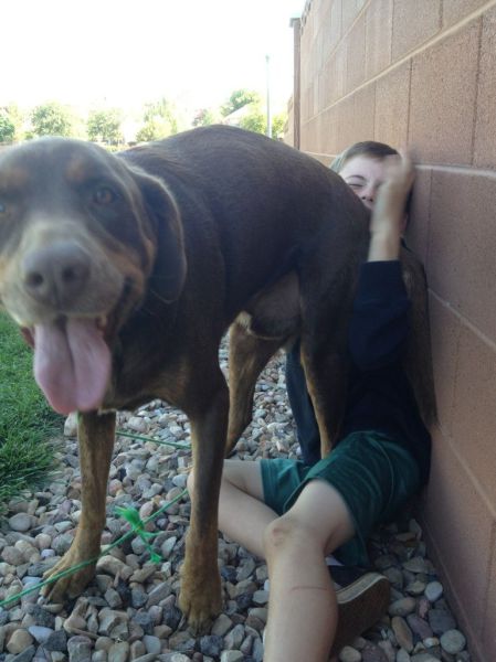 Daily Picdump