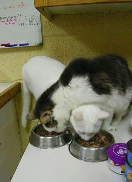 Fail&Win Picdump