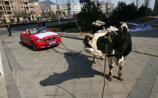 Morning Picdump