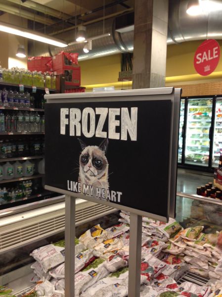 Daily Picdump