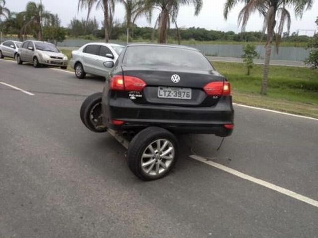 Daily Picdump