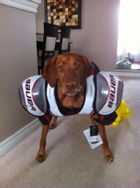Daily Picdump