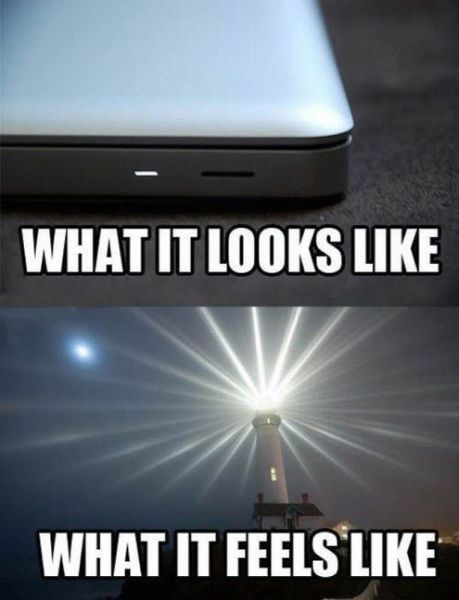 Daily Picdump