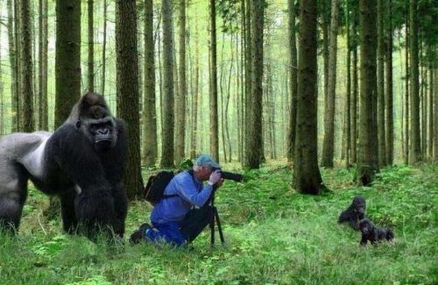 Daily Picdump