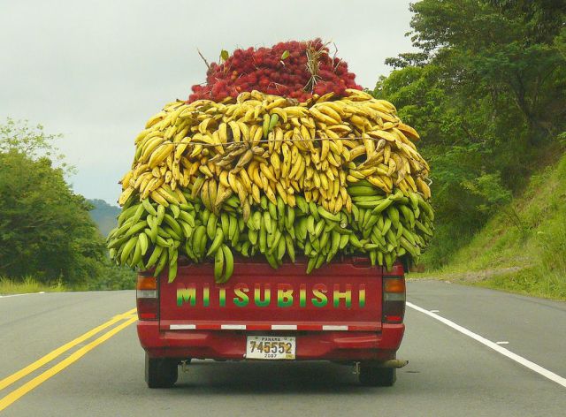 Daily Picdump