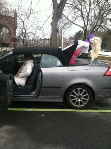 Daily Picdump