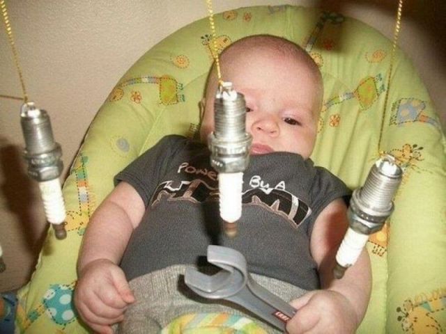 Morning Picdump
