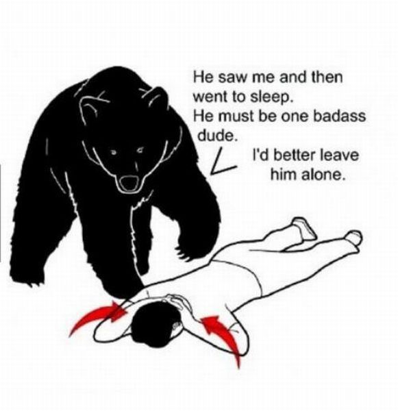 Morning Picdump