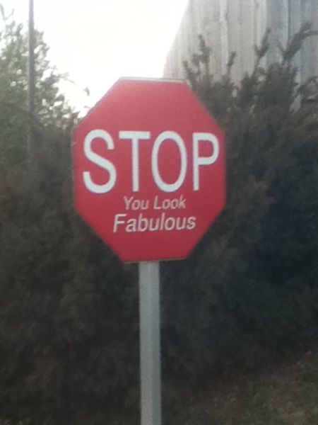 Daily Picdump