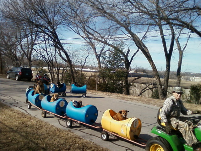 Daily Picdump