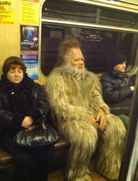 Daily Picdump