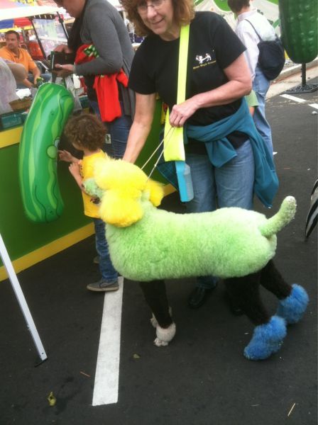 Daily Picdump