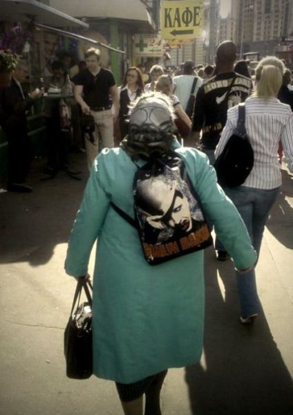 Morning Picdump