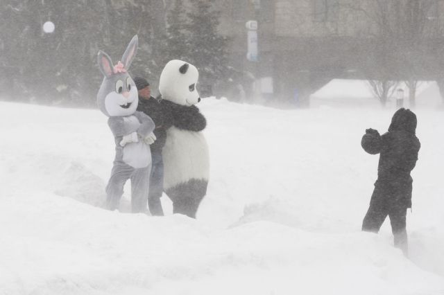 Morning Picdump