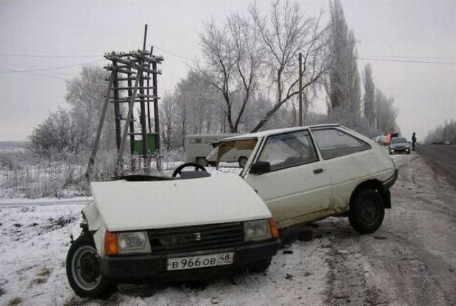 Morning Picdump