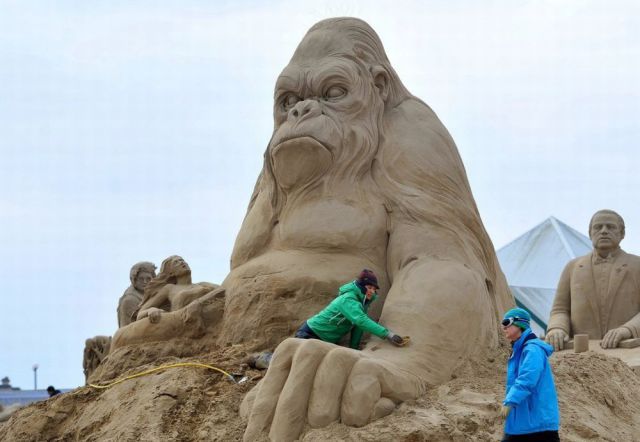 Morning Picdump