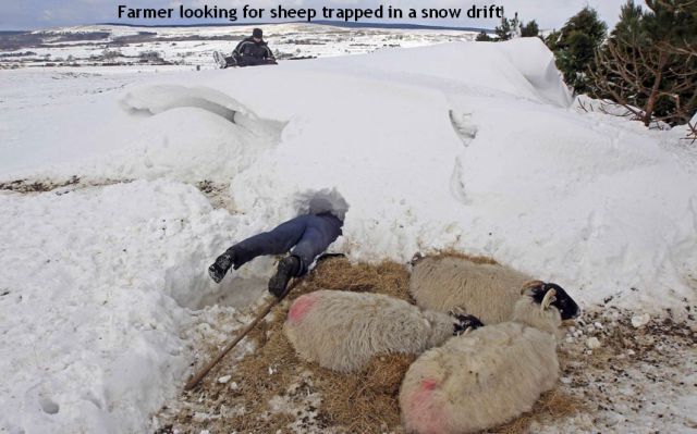 Morning Picdump