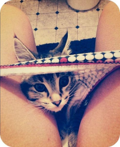 Morning Picdump