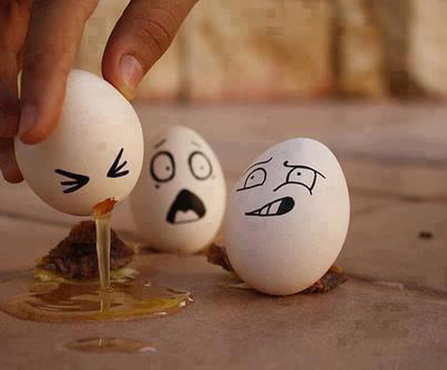 Morning Picdump