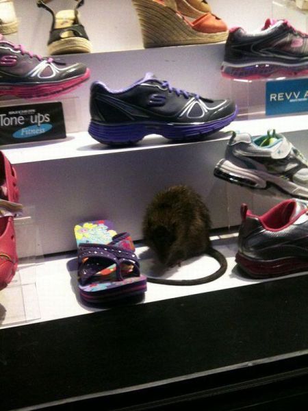Daily Picdump