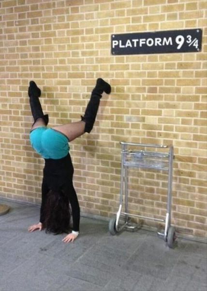 Daily Picdump