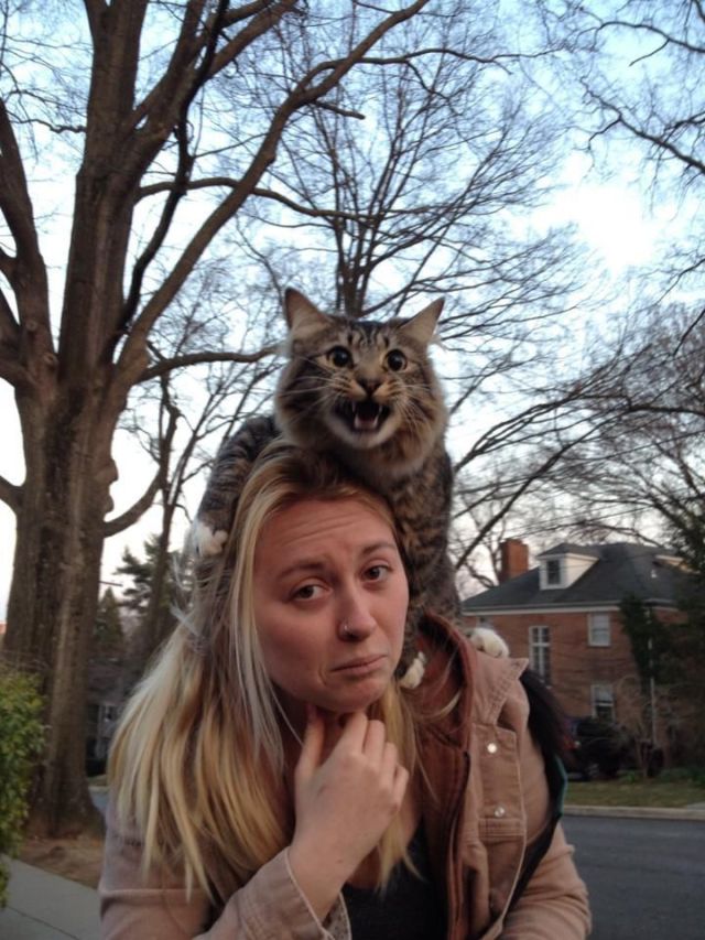 Daily Picdump