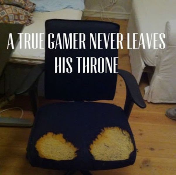 Daily Picdump