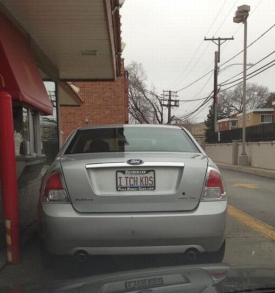Daily Picdump