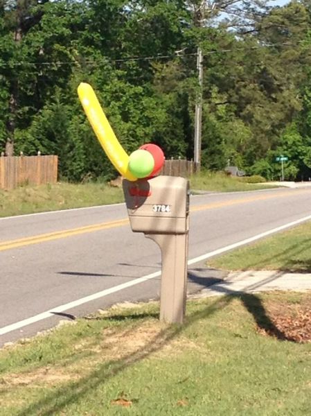 Daily Picdump