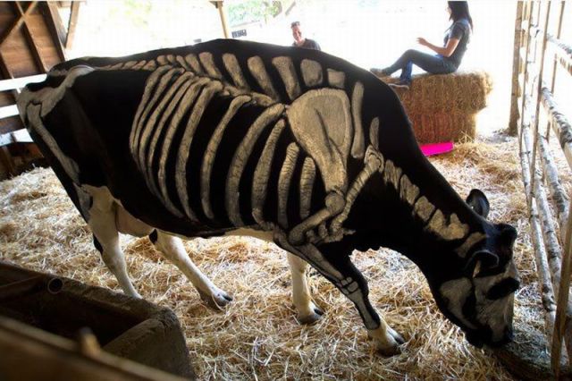 Daily Picdump