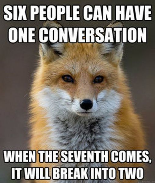 Get Your Fact Fix with This Great Fox Meme