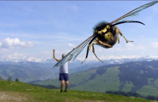 Morning Picdump
