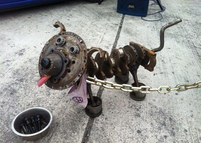Daily Picdump