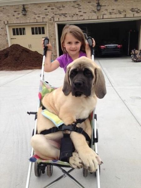 Daily Picdump
