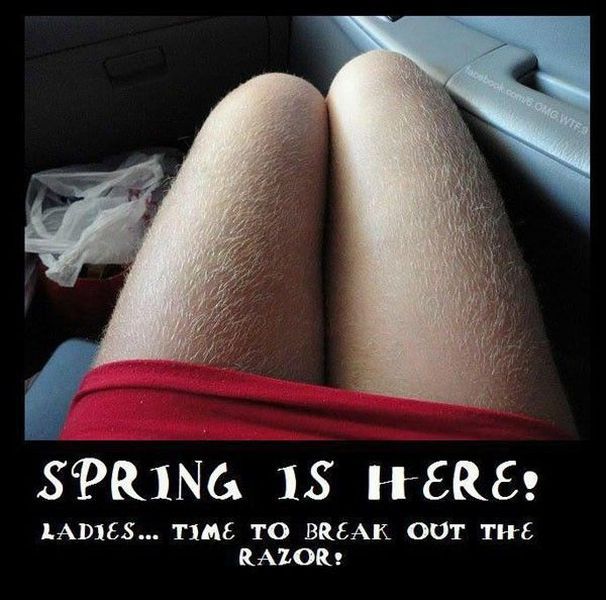 Daily Picdump