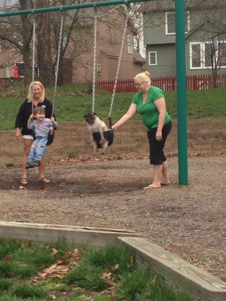 Daily Picdump