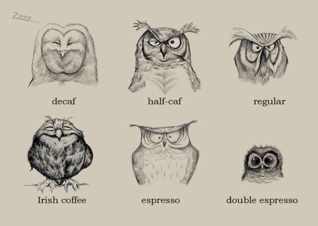 Daily Picdump