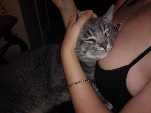 Daily Picdump