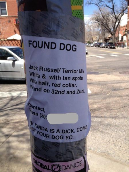 Daily Picdump