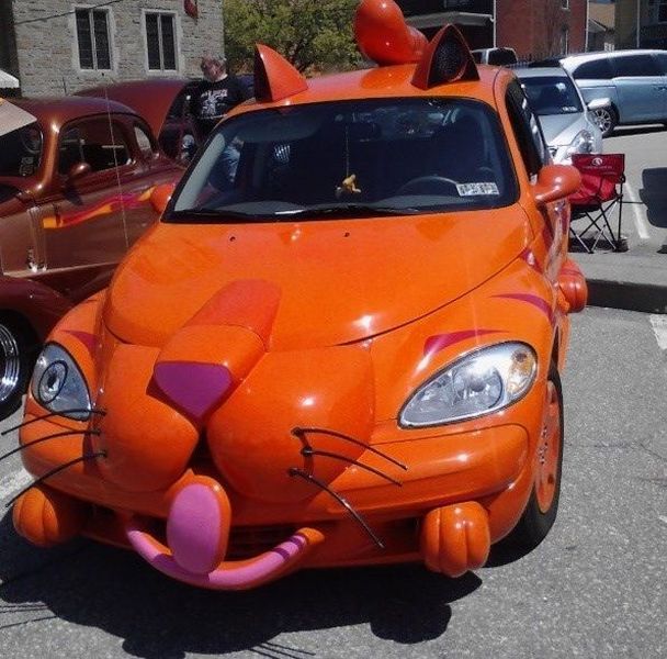 Daily Picdump